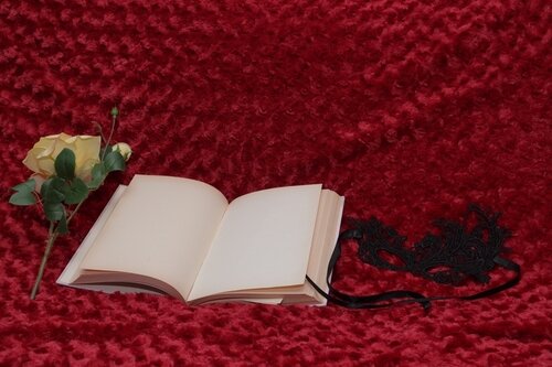 Spicy Librarian, a romance novel bookstore, opens in Denver's RiNo neighborhood