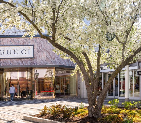 Fourth additional image