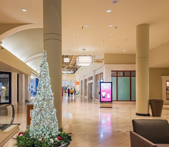 First additional image