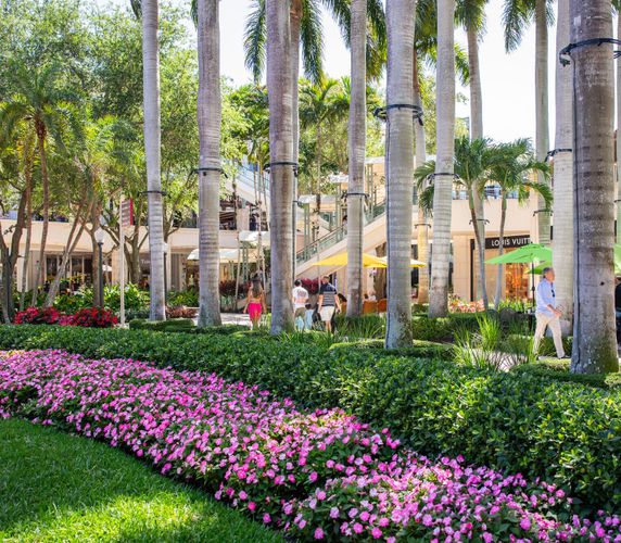 Fourth additional image