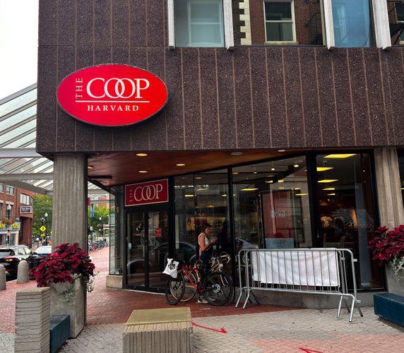 Second additional image