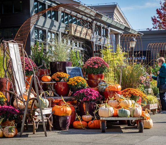 Second additional image