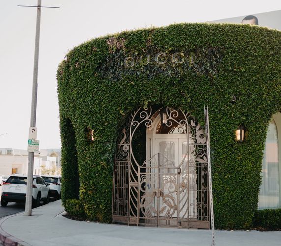 First additional image