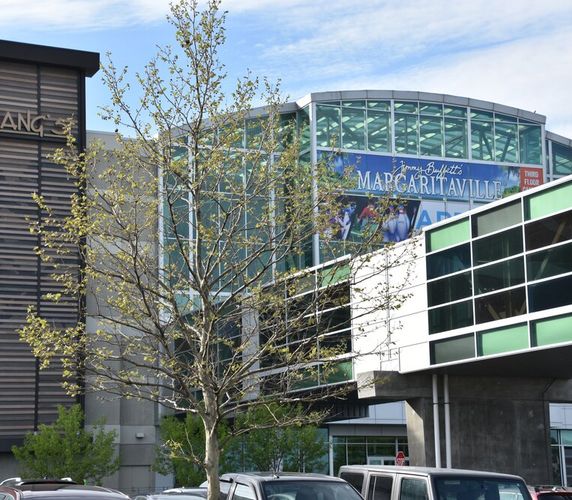 Second additional image