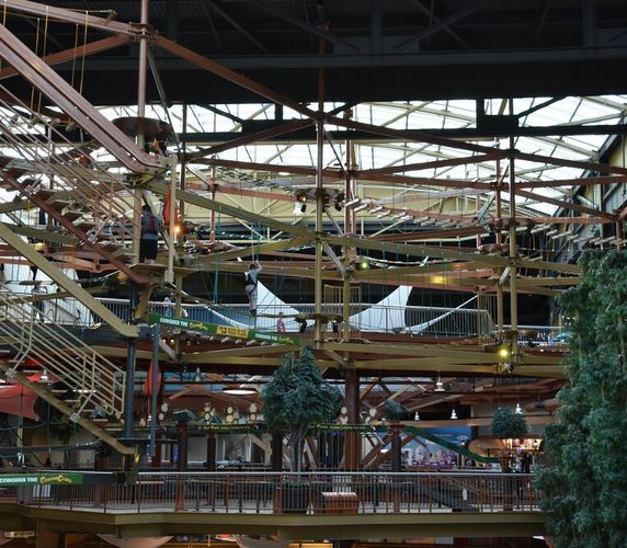 First additional image